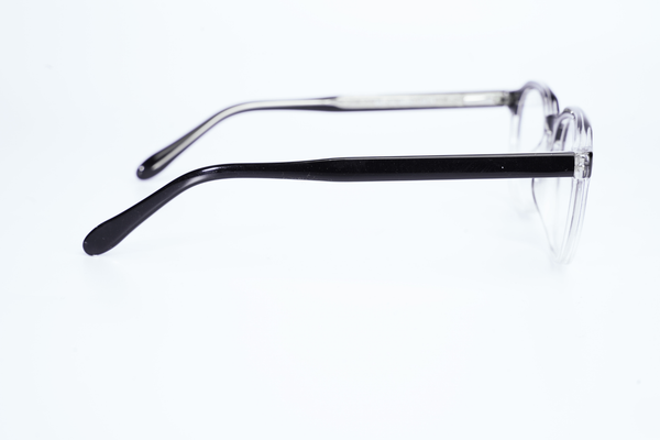 Moscot-8460-Transparent-Tortoise-Rectangle-Acetate