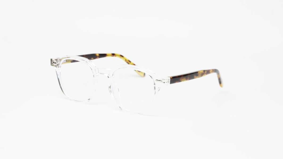 Moscot-8460-Transparent-Tortoise-Rectangle-Acetate Main image