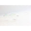 Sapphire-0033-Transparent-Semi Circle-TR-Screen protection